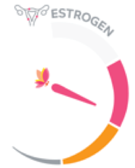Image of a dial