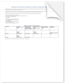 Prior Authorization Tracker Template PDF.