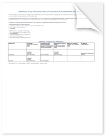 Prior Authorization Tracker Template.